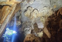 Hệ thống thạch nhũ đa dạng phía bên trong động Tiên Sơn. 