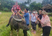 Du khách quốc tế hào hứng trải nghiệm du lịch nông nghiệp.