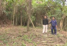 Khôi phục đường “thiên lý Bắc-Nam” qua Hoành Sơn quan Khoảng 1km đường thiên lý Bắc-Nam với 1.000 bậc tháng đá vừa được huyện Quảng Trạch phát lộ.