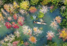 Nghệ sĩ nhiếp ảnh Nguyễn Hải gặt hái thành công tại cuộc thi ảnh quốc tế Tác phẩm: