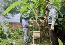 Hơn 3.000 lao động được hỗ trợ vay vốn giải quyết việc làm Từ nguồn vốn vay giải quyết việc làm nhiều hộ dân đã mạnh dạn đầu tư phát triển sản xuất, nâng cao thu nhập.Hơn 3.000 lao động được hỗ trợ vay vốn giải quyết việc làm