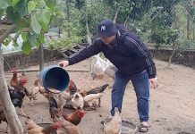 Quảng Ninh: Để người chấp hành xong án phạt tù tái hòa nhập cộng đồng Mô hình chăn nuôi của anh Ngũ Vĩnh H .