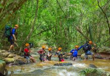 Đến Phong Nha, du khách có thể trải nghiệm trekking khám phá Vườn quốc gia Phong Nha-Kẻ Bàng.