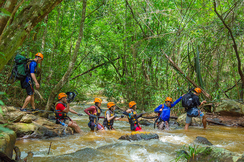 Đến Phong Nha, du khách có thể trải nghiệm trekking khám phá Vườn quốc gia Phong Nha-Kẻ Bàng.