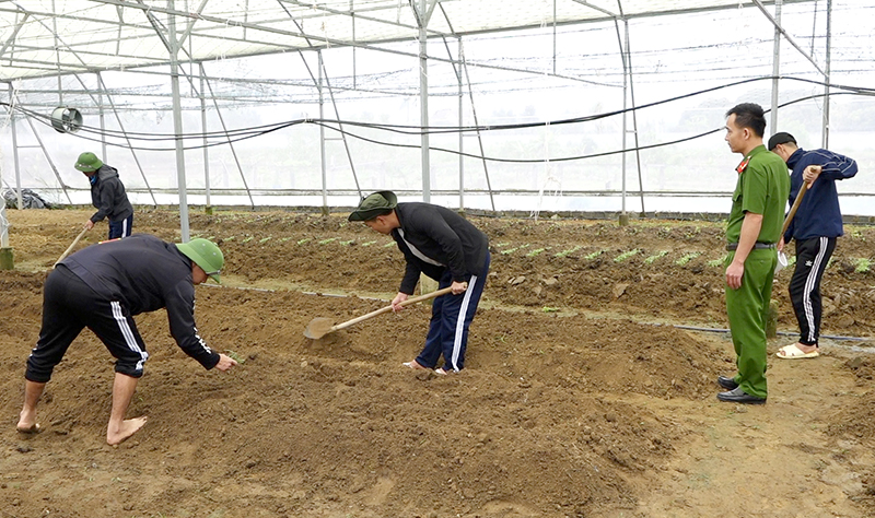 Các học viên Cơ sở Cai nghiện ma túy tham gia hoạt động lao động sản xuất.