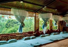 Homestay Sung Túc giữa rừng.