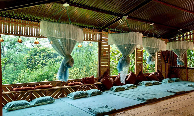 Homestay Sung Túc giữa rừng.