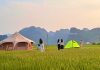 Trải nghiệm cuộc sống thiên nhiên yên bình giữa cánh đồng lúa.