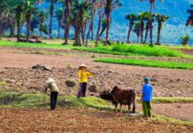 Quảng Bình muôn vẻ Quảng Bình muôn vẻ