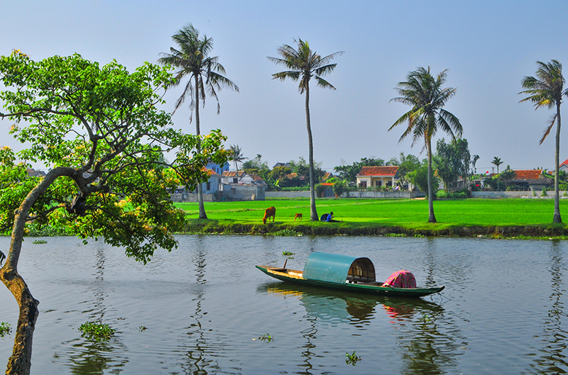 Hình bóng quê nhà