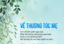 Về thương tóc mẹ