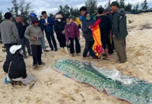 Bộ đội Biên phòng tìm thấy nạn nhân mất tích do mưa lũ