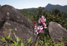 Khám phá vẻ đẹp Pa Thiên và Voi Mẹp