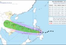 Thủ tướng lệnh khẩn: Toàn lực ứng phó bão Kalmaegi, bảo vệ người dân! Thủ tướng chỉ đạo chủ động phòng, tránh, ứng phó với bão Kalmaegi