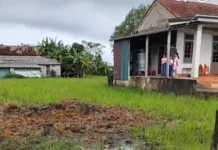 Nam Cửa Việt: Hố sâu xuất hiện trên ruộng lúa sau tiếng nổ lớn