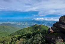 Rừng đặc dụng: Mở khóa tiềm năng du lịch sinh thái bùng nổ