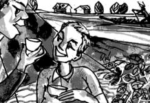 Trao đổi về câu thành ngữ "Mút mùa Lệ Thủy"