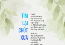 Tìm lại chút xưa