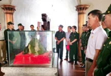 Hiệu ứng phim "Mưa đỏ": Khách thăm di tích Thành Cổ Quảng Trị tăng đột biến