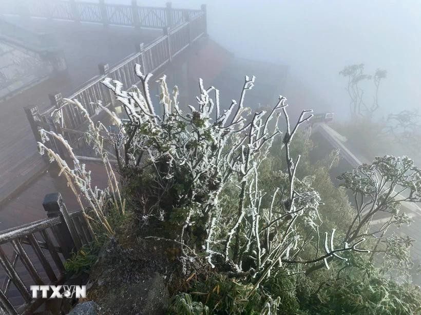 Khu vực vùng núi và trung du Bắc Bộ, từ ngày 22-23/1, được dự báo sẽ có rét đậm, có nơi rét hại. (Ảnh minh họa. Nguồn: TTXVN phát)