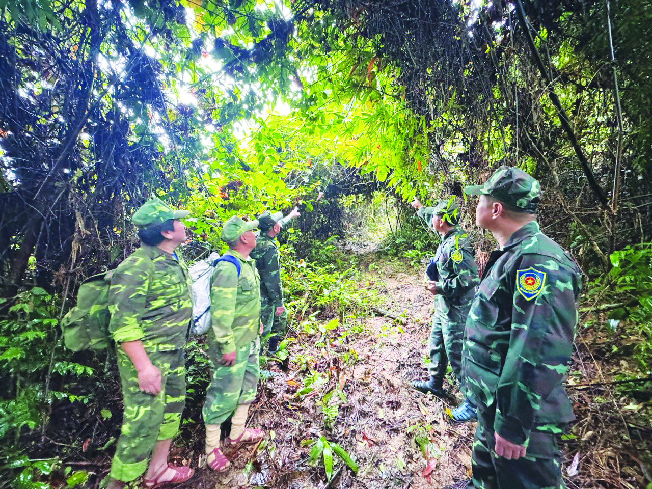 Lực lượng chức năng tuần tra bảo vệ rừng tại Vườn Quốc gia Phong Nha-Kẻ Bàng - Ảnh: N.H