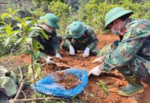 Lừa đảo tài khoản ngân hàng: Sinh viên coi chừng tiếp tay tội phạm! Hài cốt liệt sĩ được phát hiện ở độ sâu 1m với nhiều di vật kèm theo. Ảnh: TTXVN phát