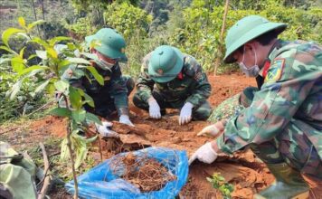Lừa đảo tài khoản ngân hàng: Sinh viên coi chừng tiếp tay tội phạm! Hài cốt liệt sĩ được phát hiện ở độ sâu 1m với nhiều di vật kèm theo. Ảnh: TTXVN phát